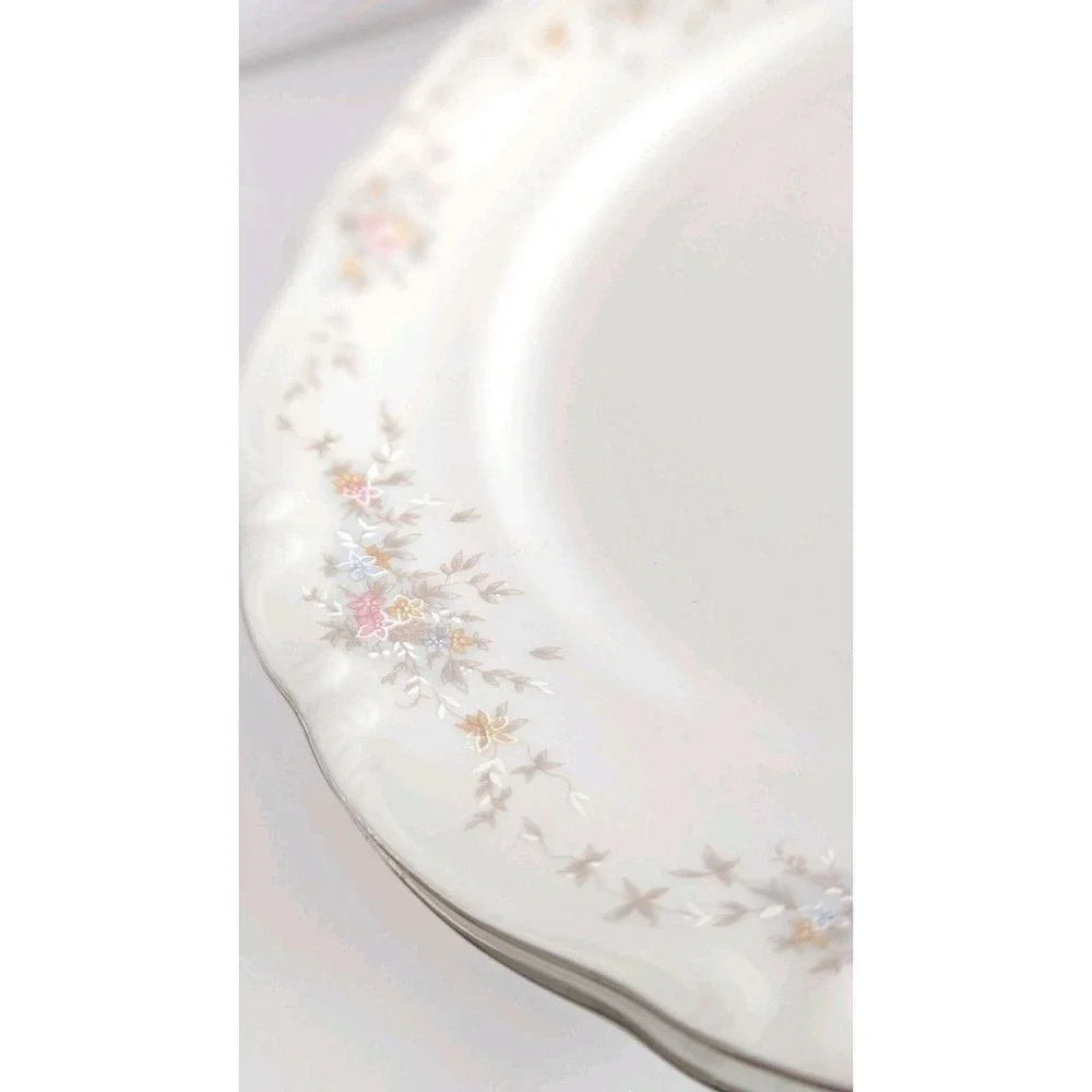 Johann Haviland Bavaria Floral Splendor 10 inch Dinner Plate Set of 2 Germany